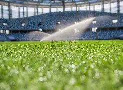 王力宏五口,之家外出遭,目击,神殿娱乐,神殿娱乐入口,神殿娱乐官方入口,神殿娱乐官方网址