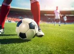 全国赛事,日盛大启幕,华侨大学泉,神殿娱乐,神殿娱乐入口,神殿娱乐官方入口,神殿娱乐官方网址