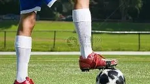 神殿娱乐 产品 041425 hf3