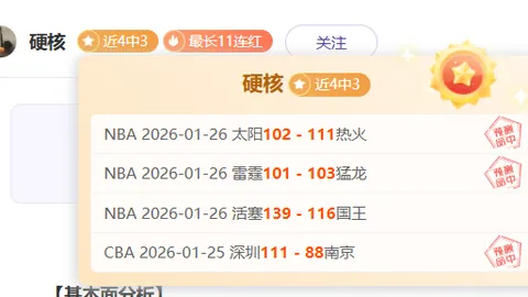 斯旺西24岁中场续约背后的原因分析